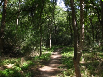 View of River Lagacy Park Trails (click on pic to see more)