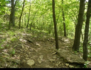 View of Shawnee Park