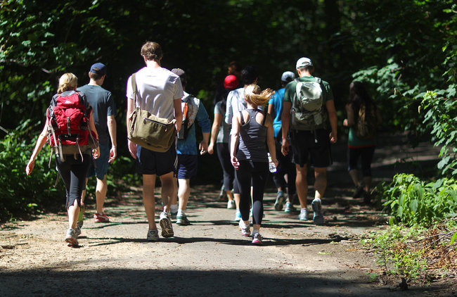 A company called Hiking Yoga, founded by Eric Kipp, offers weekend classes in Prospect Park and in Central Park. Each 90-minute class costs $20.